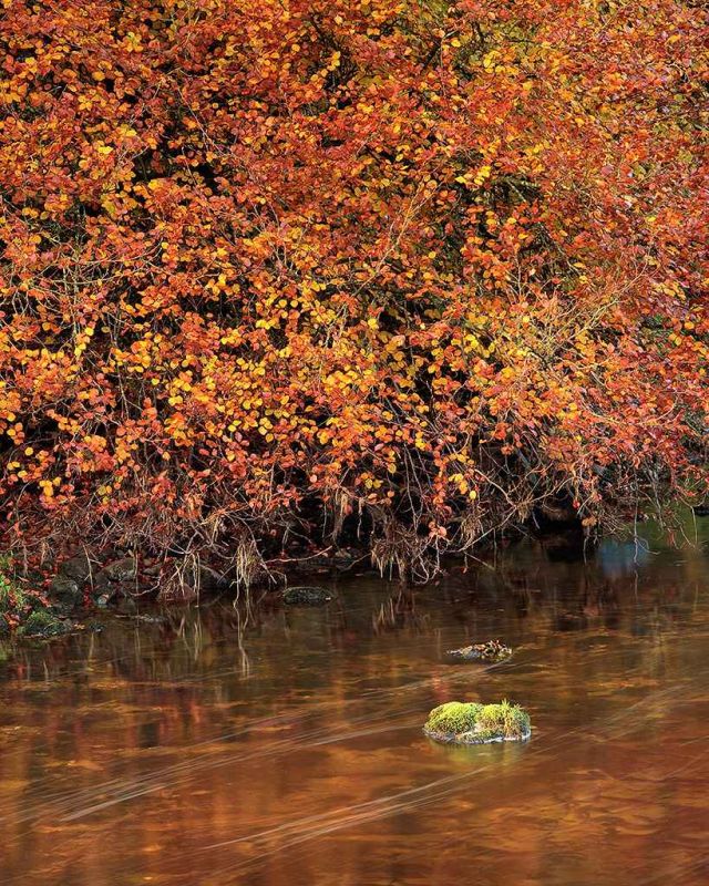 river skirfare at arncliffe.jpg